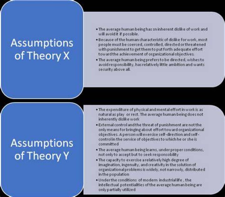 What are the assumptions of Theory X?