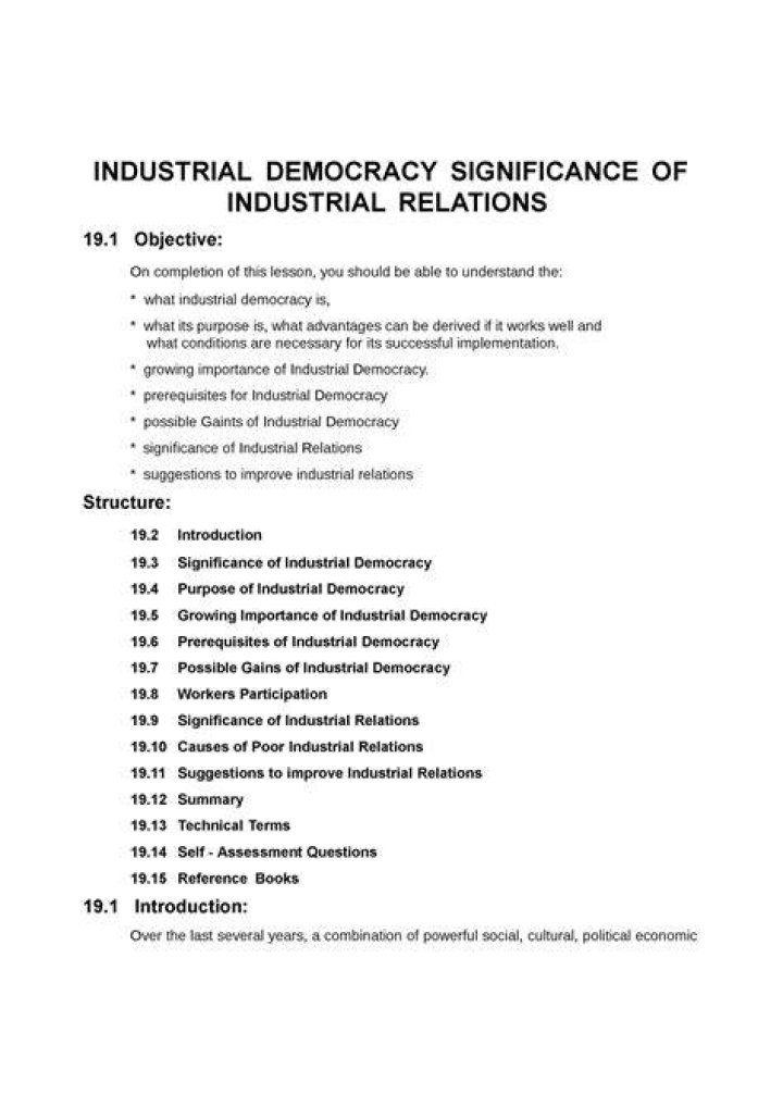 What is industrial democracy in industrial relations?