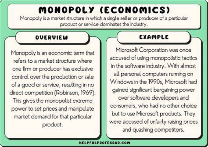 What is monopolies in simple words?