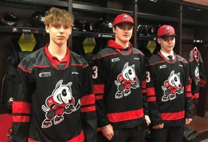 Who owns the Niagara icedogs?